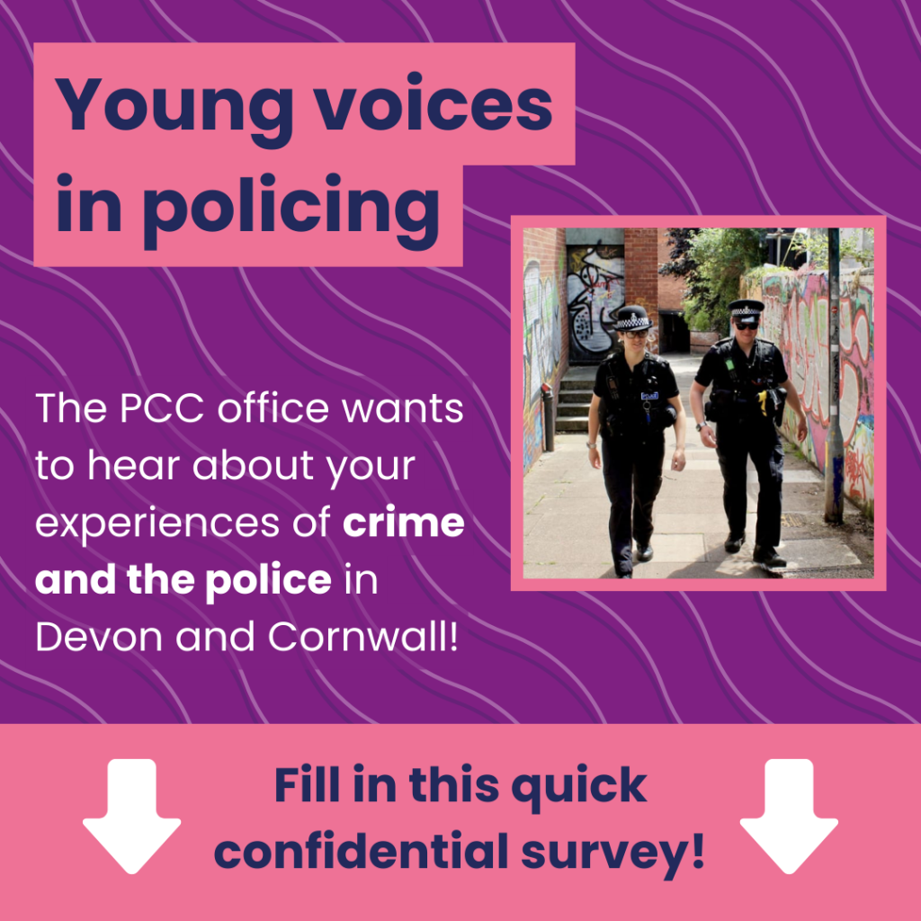 Police and Crime Commissioner’s Young voices in policing survey