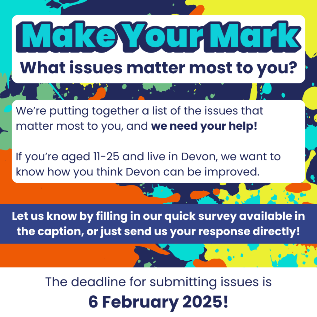 Our Make Your Mark survey on your top local issues is now live!