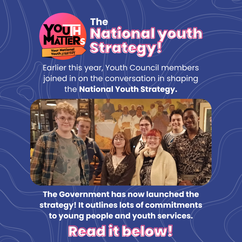 Read the National Youth Strategy containing promises to young people!