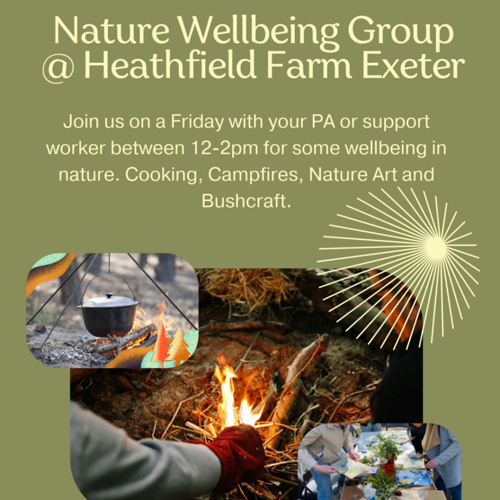 Experience the great outdoors in a wellbeing nature group!